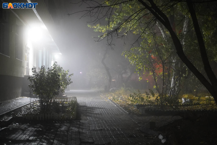 Пасмурно, морось и гололед: синоптики о погоде в Волгограде на 2 декабря