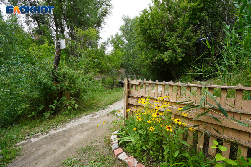 Волжский признали городом с самым мизерным количеством парков и лесов