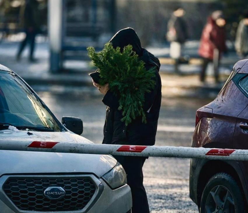 Запах хвои и солений: атмосфера последнего дня 2025 года в Волгограде 