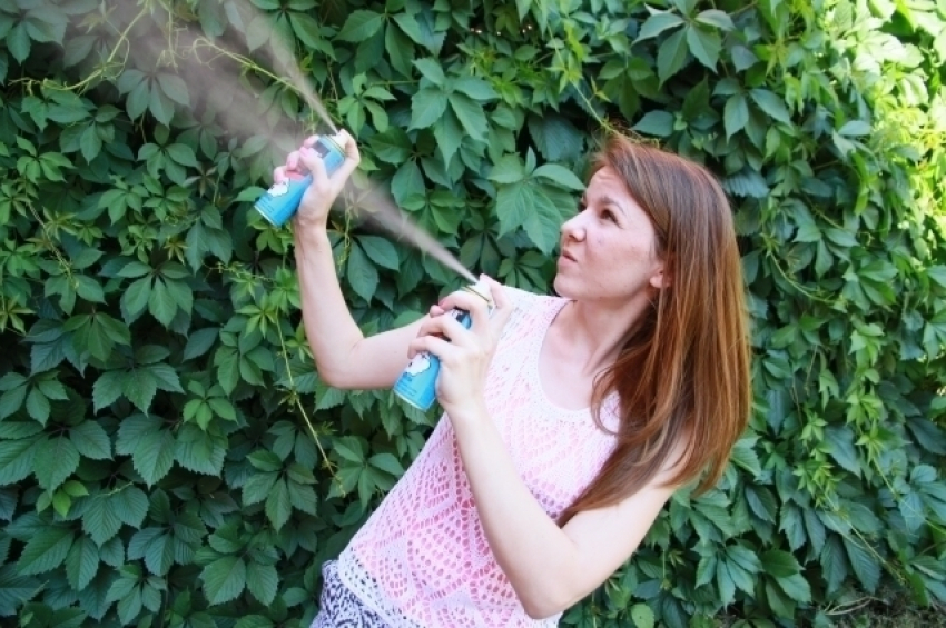 Как бороться с комарами и мошкой в Волгограде