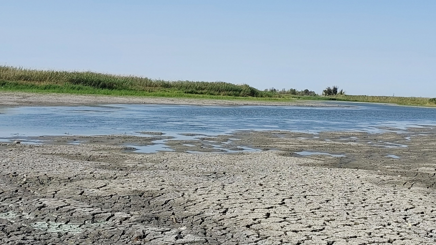 Ситуация катастрофическая: пересохшее озеро в пойме показал волгоградский рыбак 