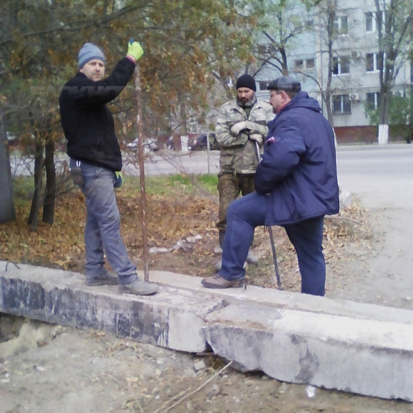 В Волгограде чиновники предложили жильцам дома на Спартановке добираться к остановке по тропинке среди камышей