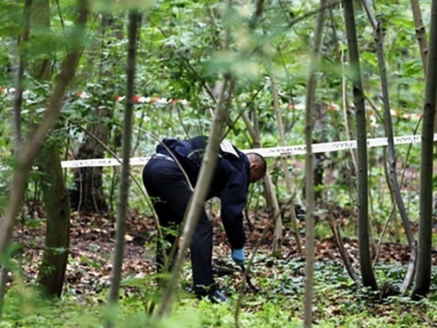 При загадочных обстоятельствах в лесополосе Волгограда погиб мужчина