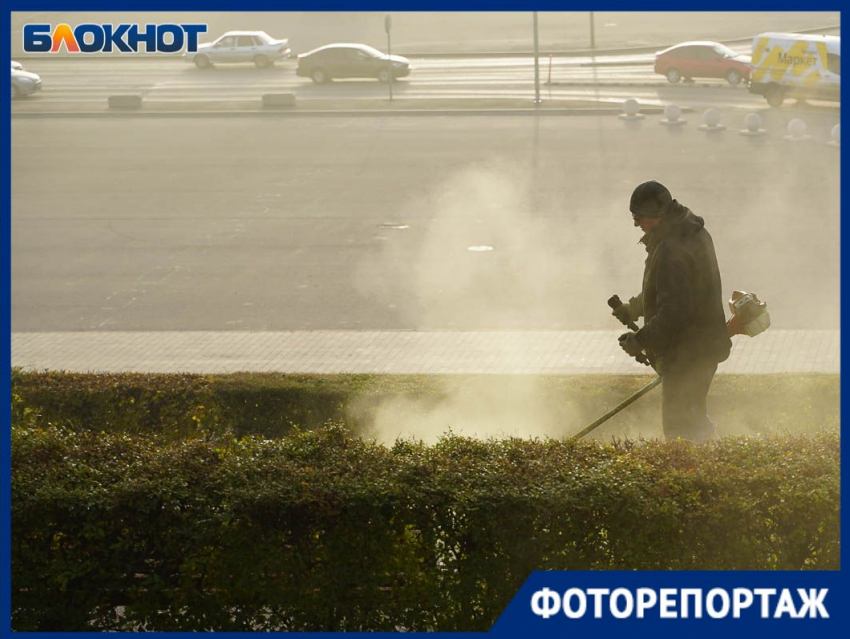 Густой туман стал предвестником резкого потепления в Волгограде