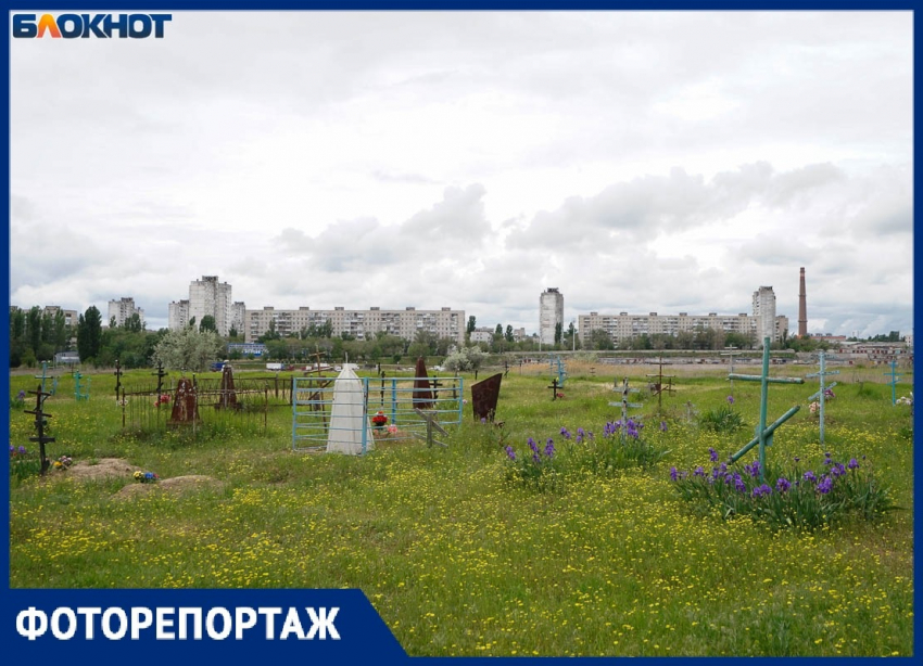 Здесь матерей с детьми хоронили вместе: показываем забытое кладбище Сталинграда