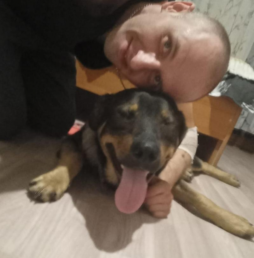 Челябинская школьница помогла отыскать собаку попавшего в реанимацию волгоградца 