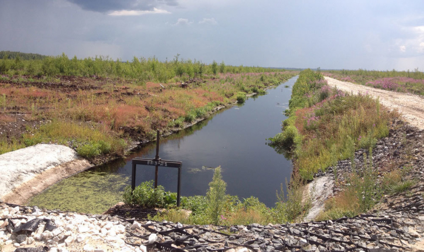 В ерик Куропатка подано 1,6 миллионов кубометров воды