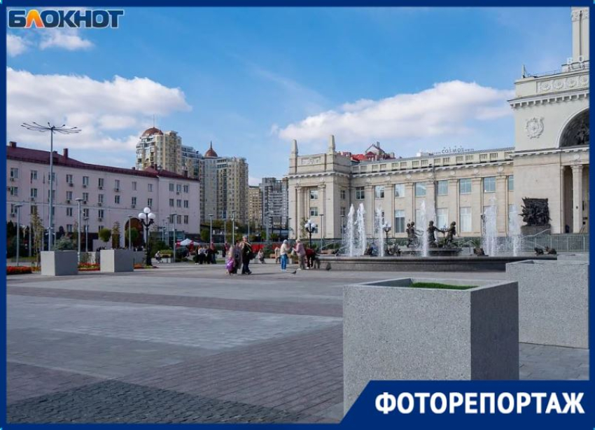 Пальмы исчезли с обновленной Привокзальной площади в Волгограде 