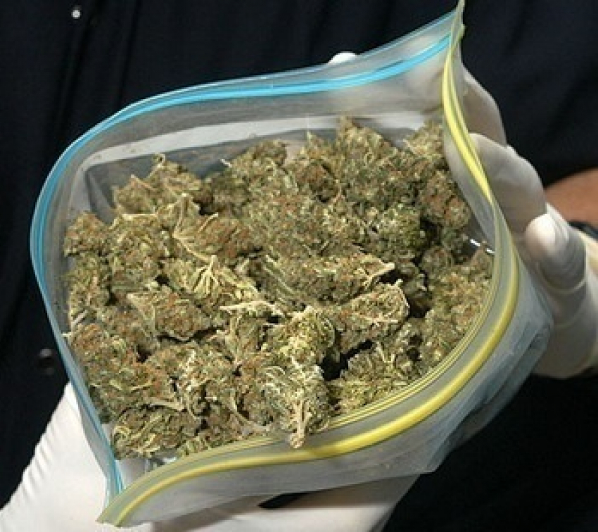 Под Волгоградом наркополицейскими изъято 1,2 килограмма марихуаны