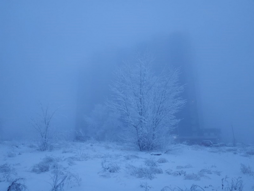 Гололед, туман и мороз: синоптики рассказали волгоградцам о погоде