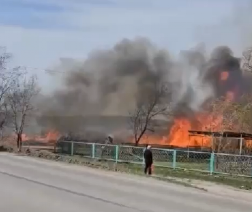 Пожары в пяти метрах от детского сада в Волгограде грозят угробить детей