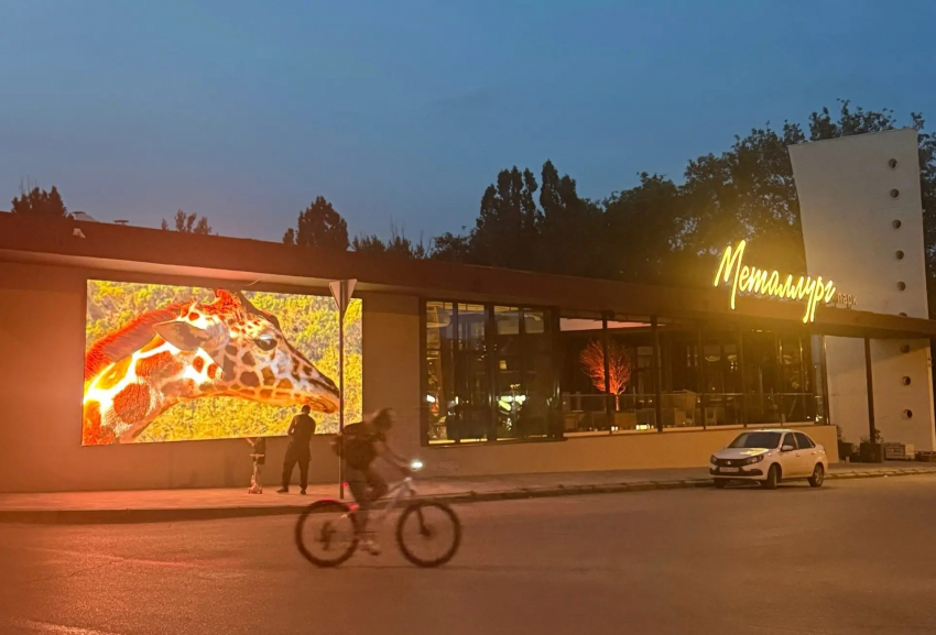 Волгоградские миллиардеры готовят к открытию новое заведение на Красном 