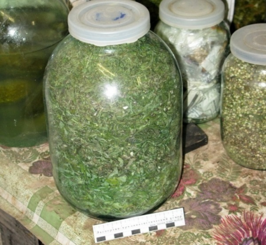 Селянин под Волгоградом хранил марихуану в 3-литровых банках