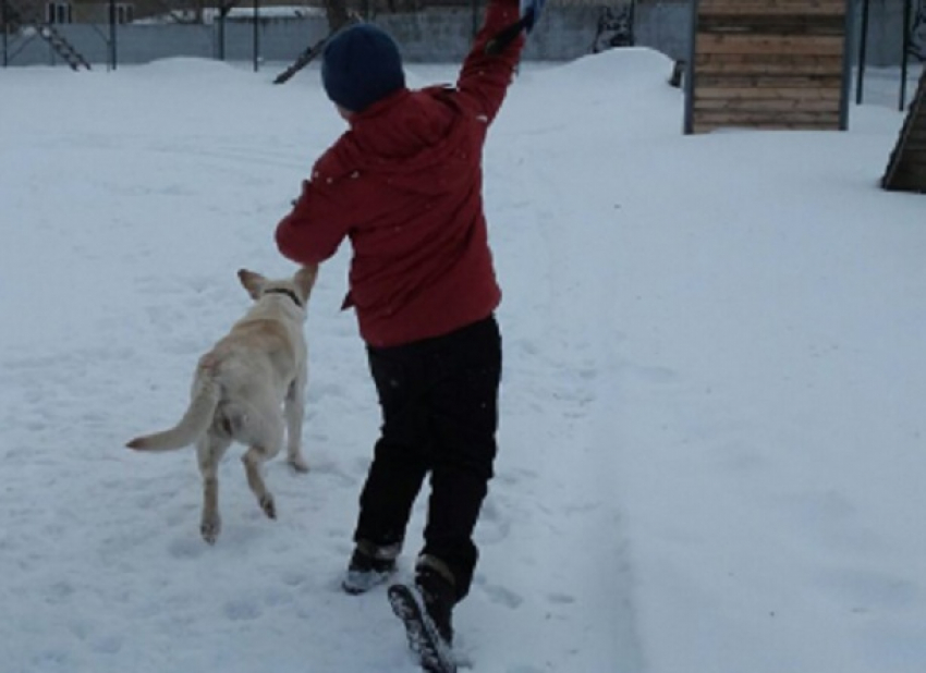 Восьмилетний мальчик пропал в Камышине по дороге в школу 