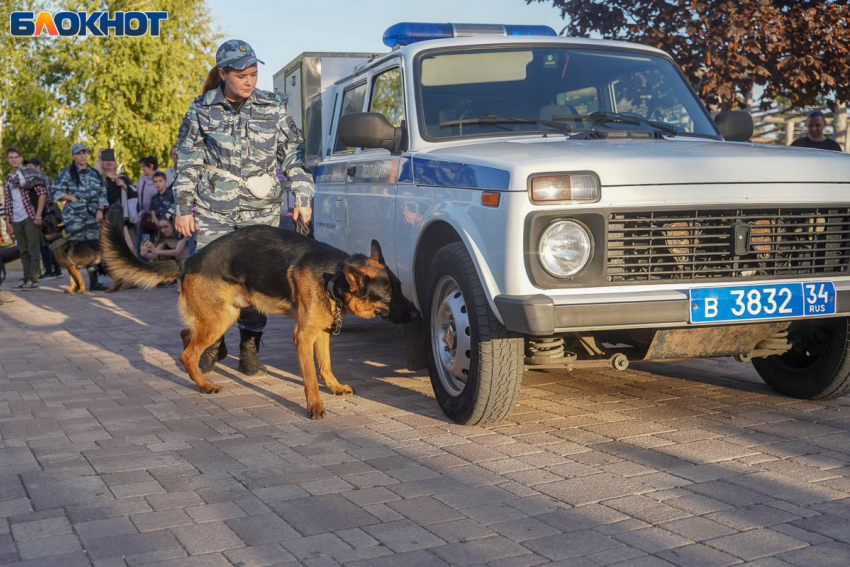 Аноним всколыхнул кинологов и полицию сообщением о заминированном доме в Волгограде 