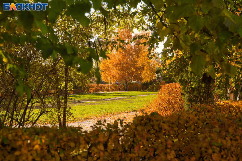 В унылый октябрь с туманом вступили волгоградцы