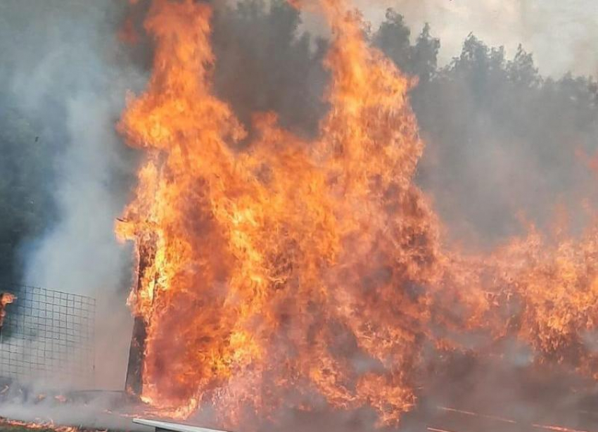 На видео попал пожар в поселке Михайловского района: 30 дворов уже сгорели