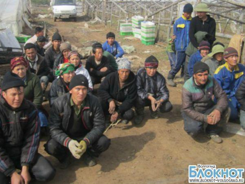 В Волгоградской области задержана очередная группа иммигрантов