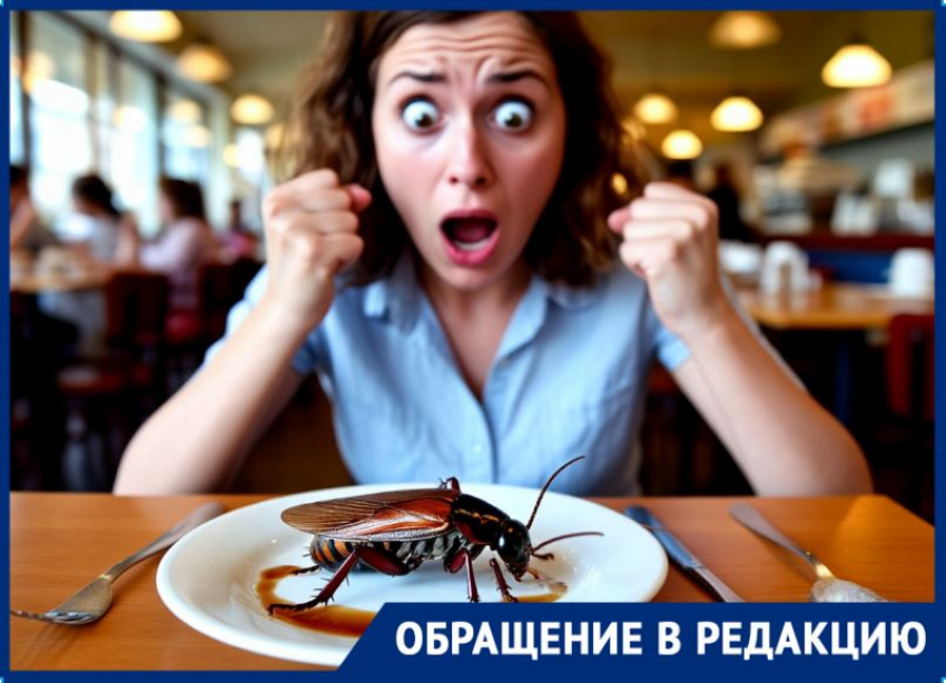 На таракана в кондитерской «Сладкоежка» пожаловалась беременная волгоградка
