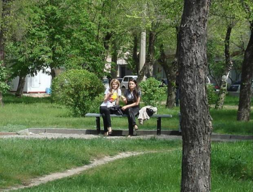 Волгоград сделают чистым и зеленым