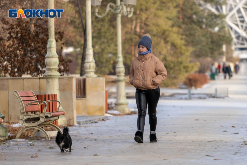 Волгоградцев продолжит радовать теплая и малооблачная погода