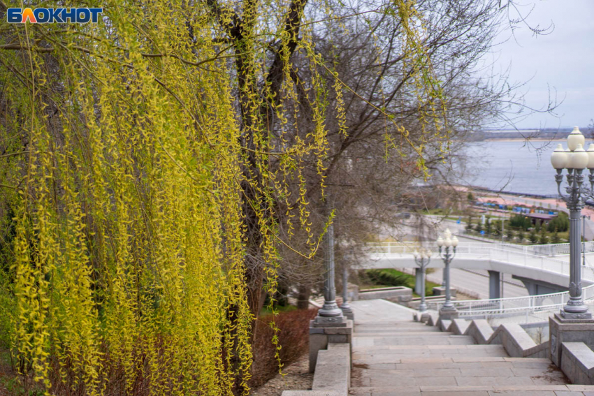 Массовую атаку БПЛА отразили в Волгоградской области