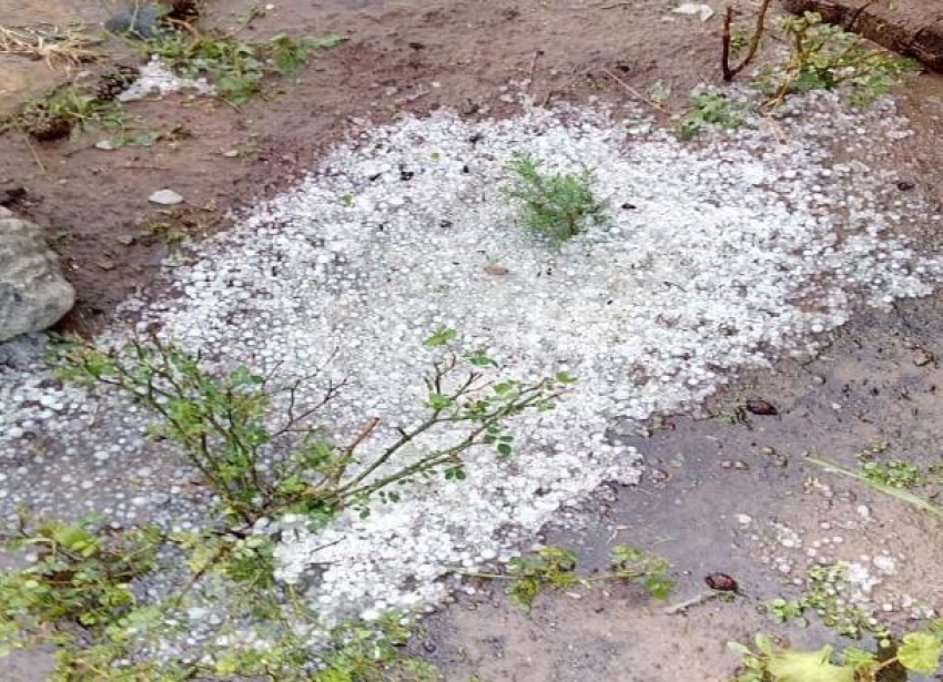 Град и ливень уничтожают огороды жителей Волгоградской области