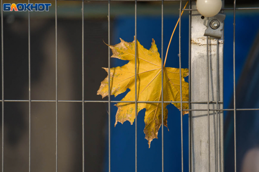 Заморозки до -3 надвигаются на Волгоградскую область 