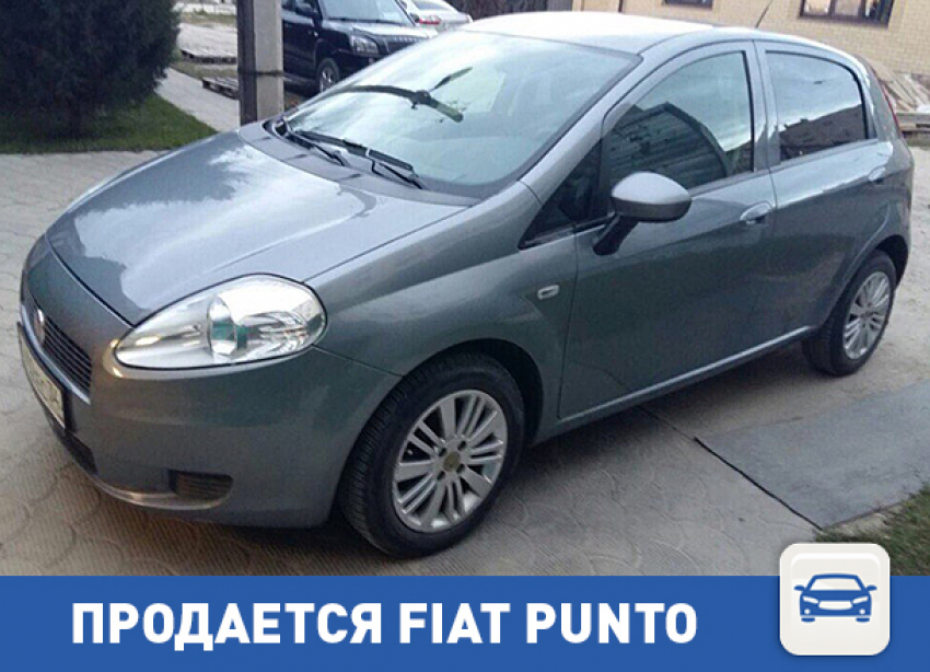 Разыскивается новый хозяин для Fiat Punto