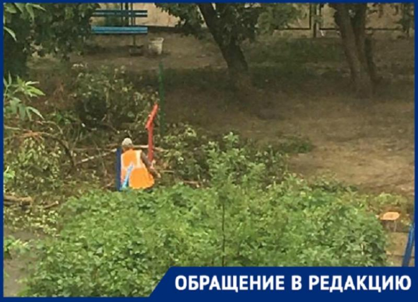 Уничтожение деревьев близ ЦПКиО в Волгограде попало на видео