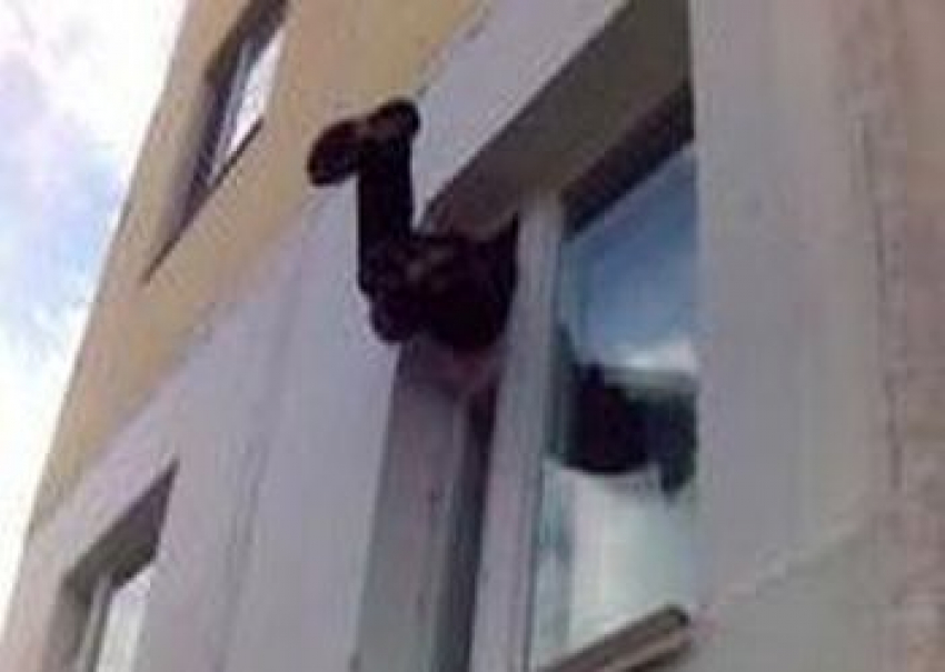 Волгоградец украл у пенсионерки полмиллиона  рублей