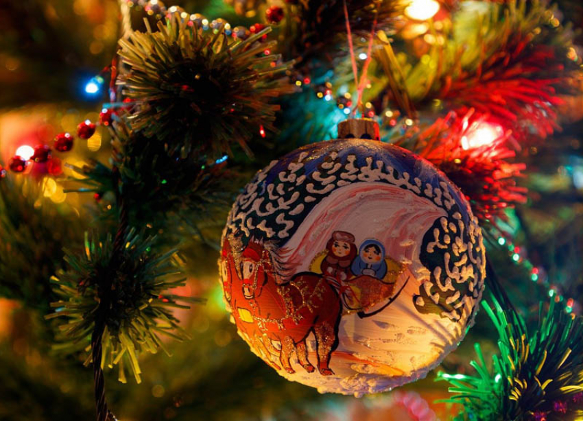 Как в Волгограде выбрать новогоднюю елку, рассказали в Роспотребнадзоре