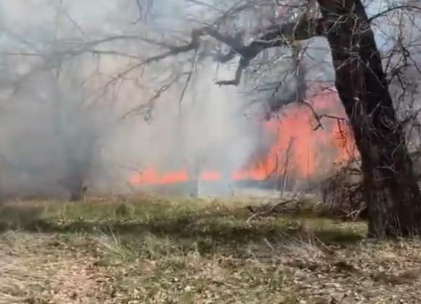 Крупный пожар тушили за ериком Верблюд в Волгоградской области