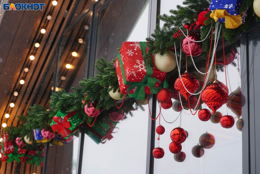 Две яркие бесплатные выставки работают на каникулах в Волгограде