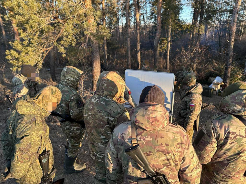 Волгоградских мужчин усиленно агитируют служить по контракту на СВО