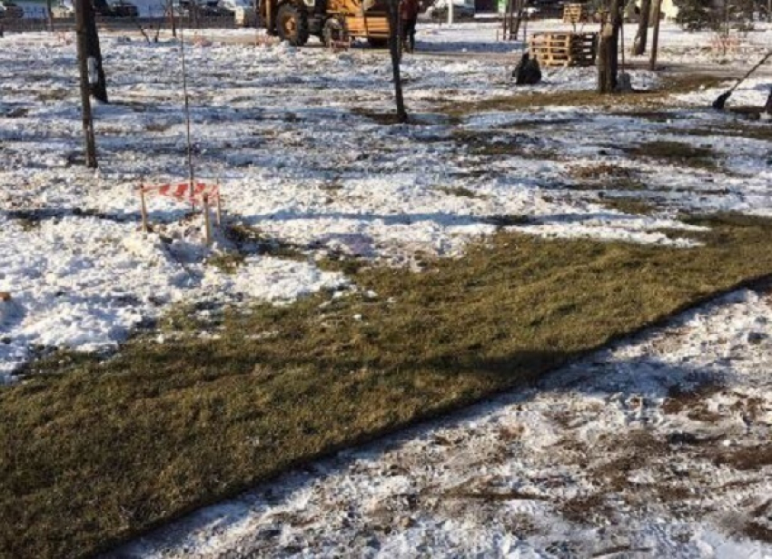 В мороз и снег коммунальщики Волгограда кладут газон