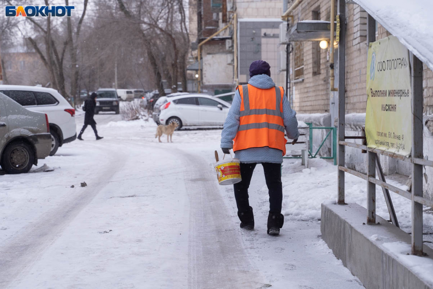 Волгоградские ученые создают таблетки от «старости»
