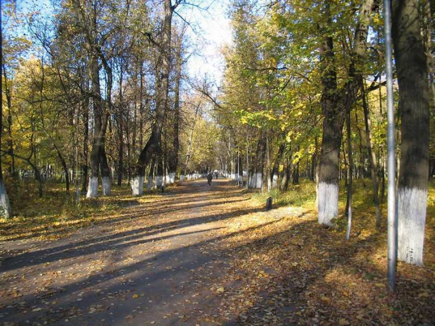 Министерства берут шефство над парками Волгограда