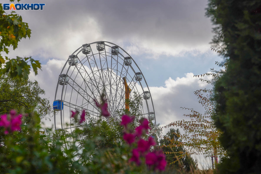 Вообще все не так: искусственный интеллект ошибся с фантазиями по поводу важного события в Волгограде