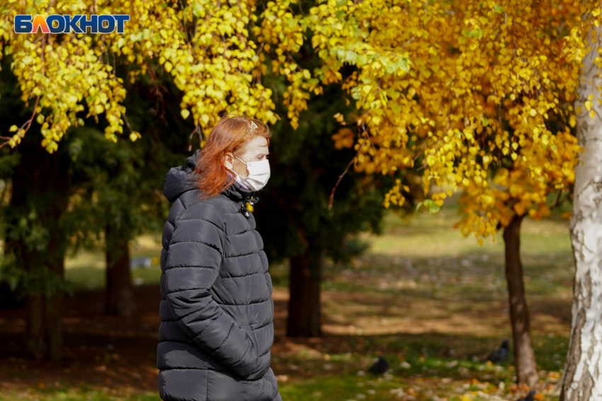 Южный ветер и местами дождь: погода в Волгограде и области 7 ноября