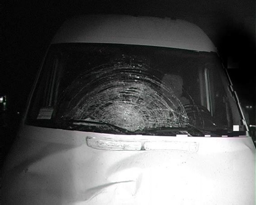 Микроавтобус Mercedes насмерть сбил пешехода на трассе Москва-Волгоград