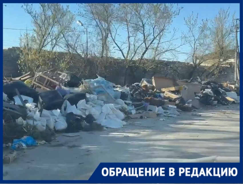 Гигантский мусорный червь вырос в волгоградском частнике