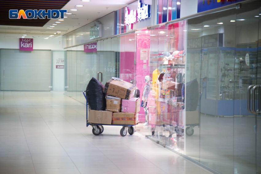 Крадут форель, шампунь и игрушки: волгоградцы по-крупному обносят гипермаркеты в декабре