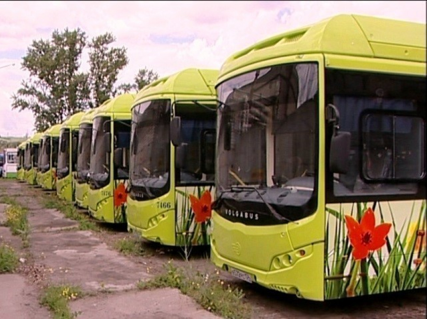 Мэрия Волгограда объявила о 50 вакансиях водителей на новые автобусы 