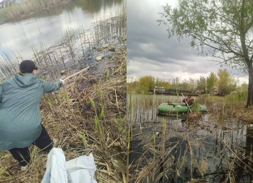 Загаженный пруд расчистили жители ЖК «Колизей» в Волгограде