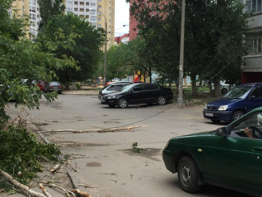 Упавшая ветка дерева и оборванный электрокабель заблокировали въезд во двор на севере Волгограда