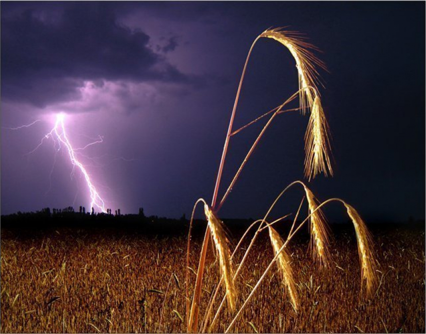 Волгоградскую область накроют ливни, град и сильный ветер