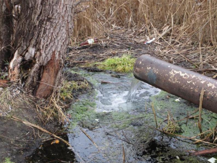 Первый канал увидел загрязнение реки Волги фекальными стоками в Волгоградской области