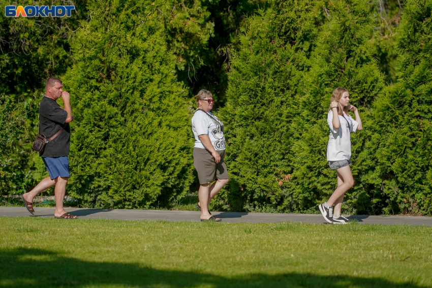 Адская жара и освежающий дождь: синоптики о погоде в Волгограде