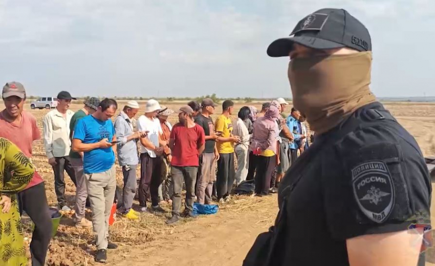 Семерых найденных дронами мигрантов выдворят из Волгоградской области и страны 